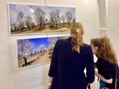 OBRAZEM: Galerii domu U Synků v Hustopečích nově zdobí fotografie a dřevořezby z Nikolčic