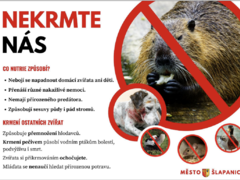 Šlapanice vzkazují lidem, aby nekrmili nutrie, způsobuje to vážné problémy