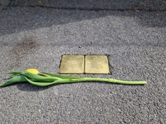 V Berouně bude připomínat památku zavražděných Židů za holocaustu již 27 Stolpersteinů