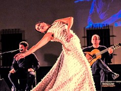 34. kytarový festival BRNO představí vrcholné světové kytaristy