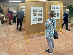 Ve zrekonstruovaném špejcharu v Olbramovicích je k vidění nová výstava historických pohlednic