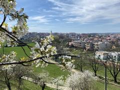 Město Moravské Budějovice rozjíždí první ročník participativního rozpočtu