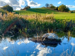 Zefektivněte čištění odpadních vod ve vaší obci: Praktický webinář o nových trendech