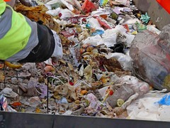 Veřejný rozbor odpadu v Berouně ukázal, že zapomínáme třídit bioodpad. Zatěžuje to přírodu i rozpočet