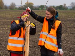 OBRAZEM: Společně za zelenější Jihomoravský kraj. 60 ovocných stromů bylo vysazeno, dalších 1200 na cestě