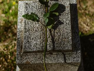 Čtení jmen obětí holocaustu v Náměšti nad Oslavou připomene památku zavražděných