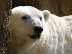 Zoologická zahrada v Brně září štěstím