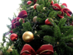 Berounské adventní trhy chystají překvapení. Vizualizace již nyní odhaluje modernější podobu prostoru