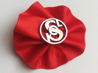 Maminky připravují dětský karneval v TJ Sokol Lelekovice