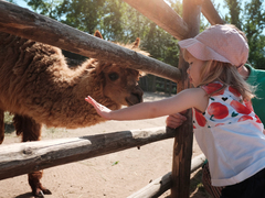 OBRAZEM: Zavítejte do Zooparku Zájezd. Rodinná zoologická zahrada, která překvapí