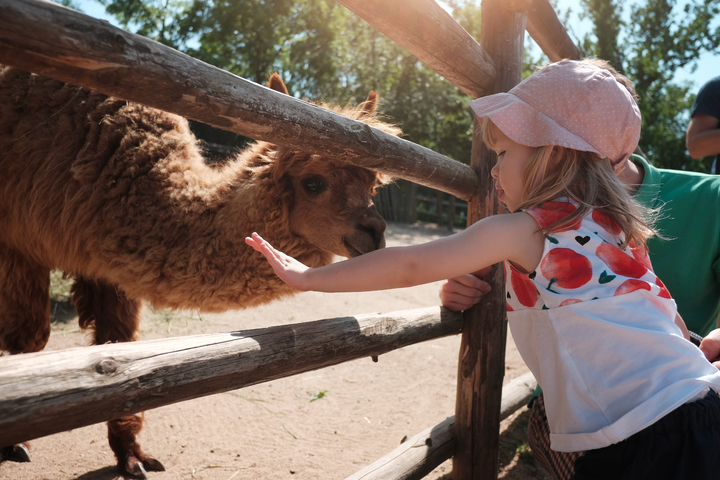 _DÄti v zoo (2).jpg