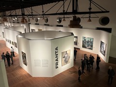 OBRAZEM: Výstava v Jízdárně Pražského hradu představuje tvorbu Františka Mertla alias FRANTY