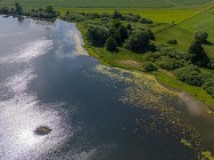 Na hladině Velké Strany vznikl první plovoucí ostrov v Plzeňském kraji. Pomůže ptákům i přírodě
