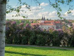 Třebíč obsadila v prestižním srovnání Město pro byznys třetí místo