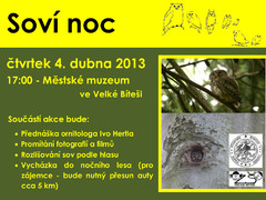 Prožijte soví noc!