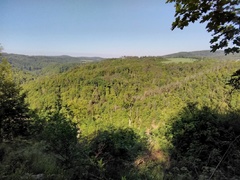 Pod Olešnou na území Blanska byla vychlášena nová přírodní rezervace Nad Švédskou cestou
