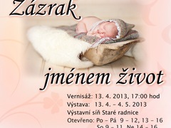 Výstava Zázrak jménem život ukazuje krásu novorozeňat