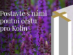 Zapojte se do unikátního projektu – výstavby poutní cesty, projektu Římskokatolické farností v Kolíně