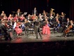 Symfonický orchestr přiveze do Hořovic filmové a muzikálové melodie