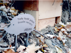 Děti z Boskovic pomáhají přírodě: Vyrábějí domečky pro ježky z okolí Děti z Boskovic pomáhají přírodě: Vyrábějí domečky pro ježky z okolí