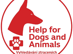 Zaběhlo se vám zvíře? Využijte vyhledávání ztracených zvířat v okolí Brna