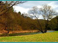 Koniklec opět vykvetl i na Špilberku u Náměště nad Oslavou