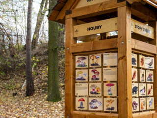 Pexeso či věž poznání. Lesopark Vodranty obohatí 9 edukativních prvků. Náklady z většiny pokryje dotace