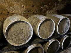 Inspektoři uzavřeli dva vinné sklepy v Mikulově. Sudy byly kompletně zarostlé plísní