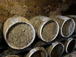 Inspektoři uzavřeli dva vinné sklepy v Mikulově. Sudy byly kompletně zarostlé plísní