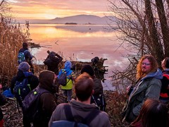 Vydejte se na ornitologickou vycházku na Novomlýnské nádrže Vydejte se na ornitologickou vycházku na Novomlýnské nádrže