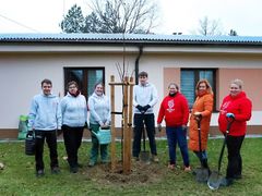 OBRAZEM: V Hustopečích zasadili první stromy pro Radost