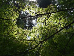 Fotografická soutěž „Život v lese“ zná vítěze!