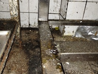 Špína, plíseň i padající omítka! Inspekce uzavřela jídelnu v Pohořelicích