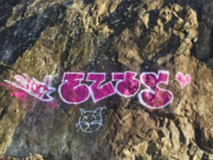 Vandalismus v Dolních Kounicích – škody, které nakonec zaplatí všichni občané