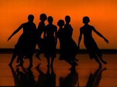 Místní akční skupina Boskovicko slaví 20 let: MASkarní bál spojí péči o region a skvělou zábavu Místní akční skupina Boskovicko slaví 20 let: MASkarní bál spojí péči o region a skvělou zábavu