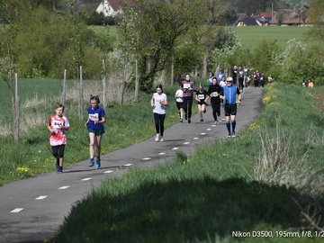 Prčický půlmarathon se uskuteční již po šesté. 25. dubna 2026 se Sedlec-Prčice znovu rozběhne