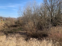 Studie ukáže, co s roklí ve Velkém Meziříčí