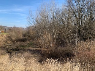 Studie ukáže, co s roklí ve Velkém Meziříčí