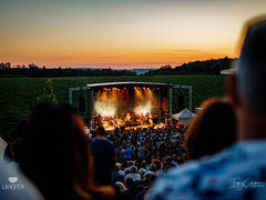 Hudba na vinicích pošle na Sonberk rekordní počet 13 koncertů