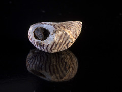 Speciální archeoprohlídky představí historii Kateřinské jeskyně