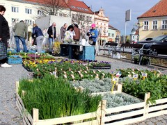 Vyškovské trhy se vracejí na náměstí. Každou lichou středu až do listopadu
