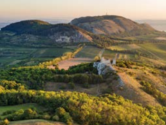 Pálava jako unikát: Před 50 lety vyhrál přírodovědecký zájem nad profitem