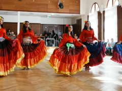 Středočeský kraj podpoří konání Středočeského tanečního poháru. Finále proběhne v Mladé Boleslavi