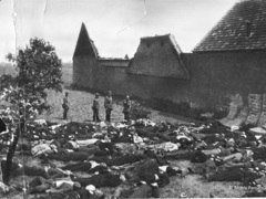 Tragické osudy vyhlazených obcí ožívají v Hodoníně u Kunštátu: Přijede i přeživší lidické dítě Tragické osudy vyhlazených obcí ožívají v Hodoníně u Kunštátu: Přijede i přeživší lidické dítě