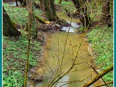 Video: Jak probíhalo otevírání říčky Bobravy 2014