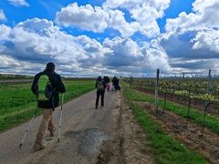 Den Znovín Walkingu láká na jarní procházku mezi vinicemi