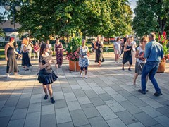 Rozezníme park! Letní Lysá hledá umělce pro čtvrteční večery