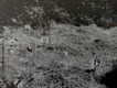 Historik Petr Blažek představí v Lošanech Ďáblický hřbitov jako místo paměti druhého a třetího odboje Historik Petr Blažek představí v Lošanech Ďáblický hřbitov jako místo paměti druhého a třetího odboje