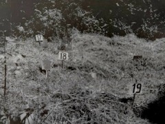 Historik Petr Blažek představí v Lošanech Ďáblický hřbitov jako místo paměti druhého a třetího odboje
