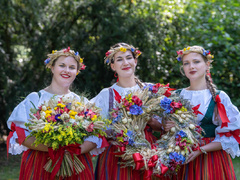 Oživené prohlídky i koncert: Dožínky Plzeňského kraje letos zamíří na hrad Švihov